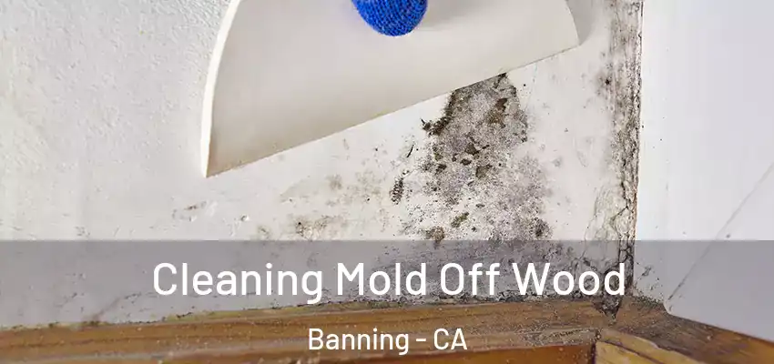  Cleaning Mold Off Wood Banning - CA