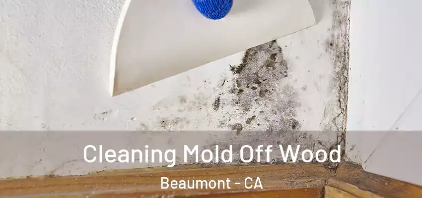  Cleaning Mold Off Wood Beaumont - CA