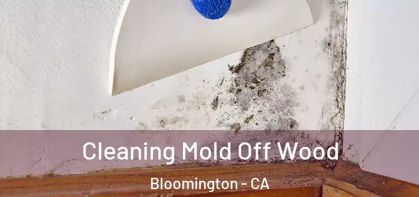  Cleaning Mold Off Wood Bloomington - CA