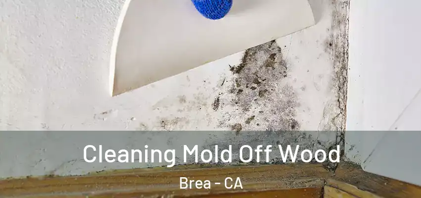  Cleaning Mold Off Wood Brea - CA