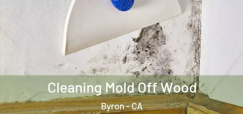 Cleaning Mold Off Wood Byron - CA