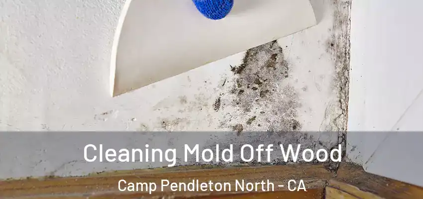  Cleaning Mold Off Wood Camp Pendleton North - CA