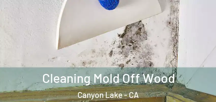  Cleaning Mold Off Wood Canyon Lake - CA