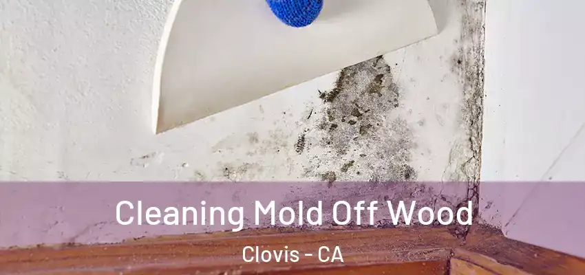  Cleaning Mold Off Wood Clovis - CA