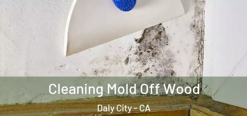  Cleaning Mold Off Wood Daly City - CA