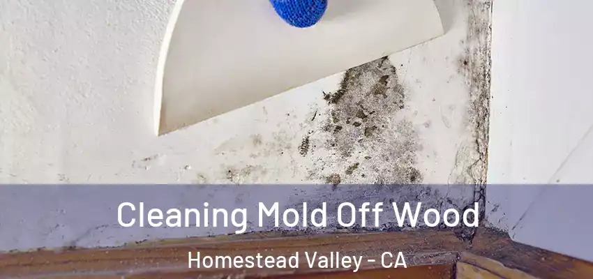  Cleaning Mold Off Wood Homestead Valley - CA