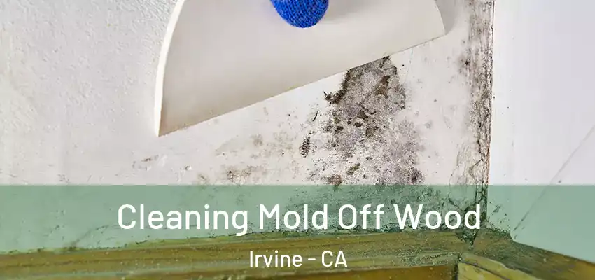  Cleaning Mold Off Wood Irvine - CA