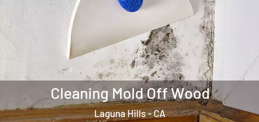  Cleaning Mold Off Wood Laguna Hills - CA
