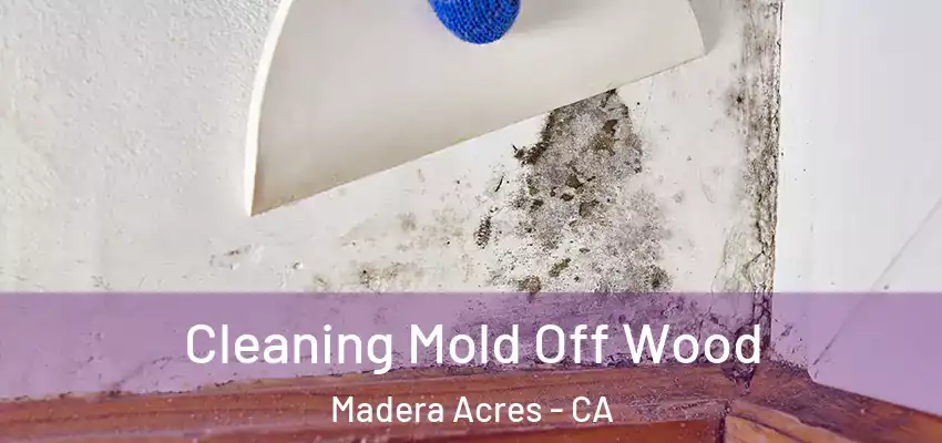  Cleaning Mold Off Wood Madera Acres - CA
