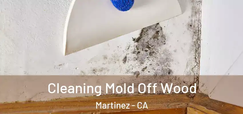  Cleaning Mold Off Wood Martinez - CA