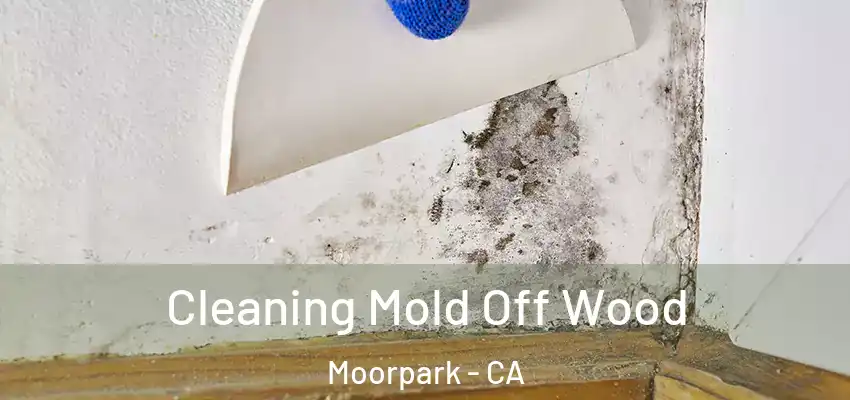  Cleaning Mold Off Wood Moorpark - CA