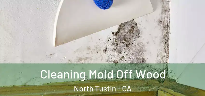  Cleaning Mold Off Wood North Tustin - CA