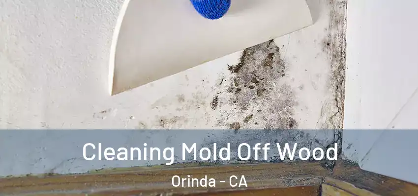  Cleaning Mold Off Wood Orinda - CA