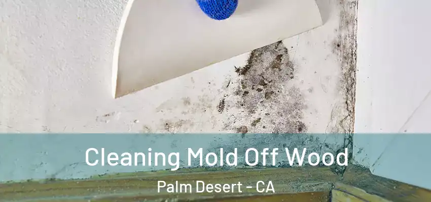  Cleaning Mold Off Wood Palm Desert - CA