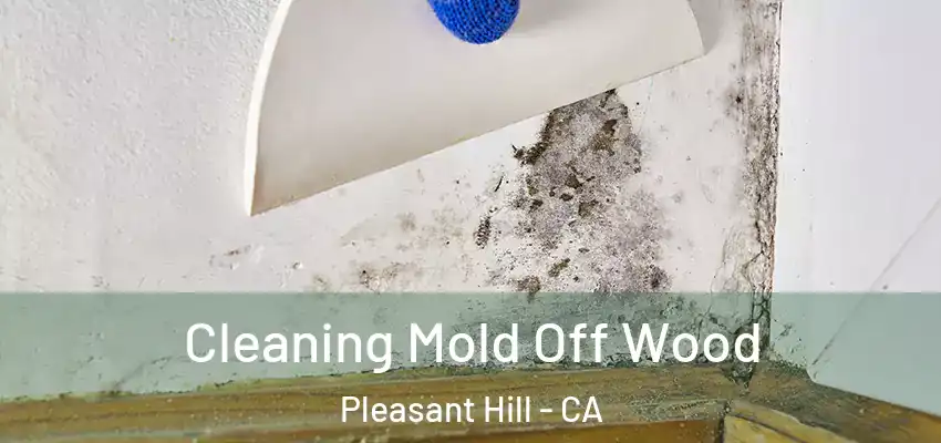  Cleaning Mold Off Wood Pleasant Hill - CA