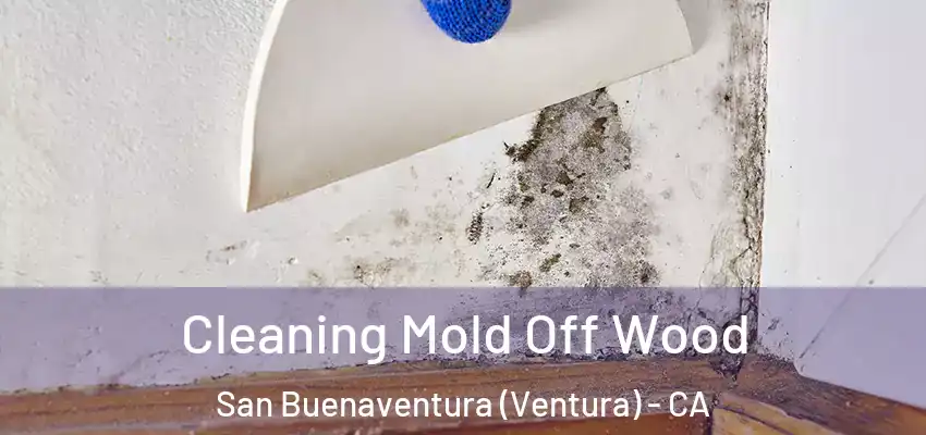  Cleaning Mold Off Wood San Buenaventura (Ventura) - CA