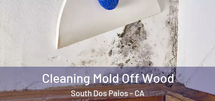  Cleaning Mold Off Wood South Dos Palos - CA