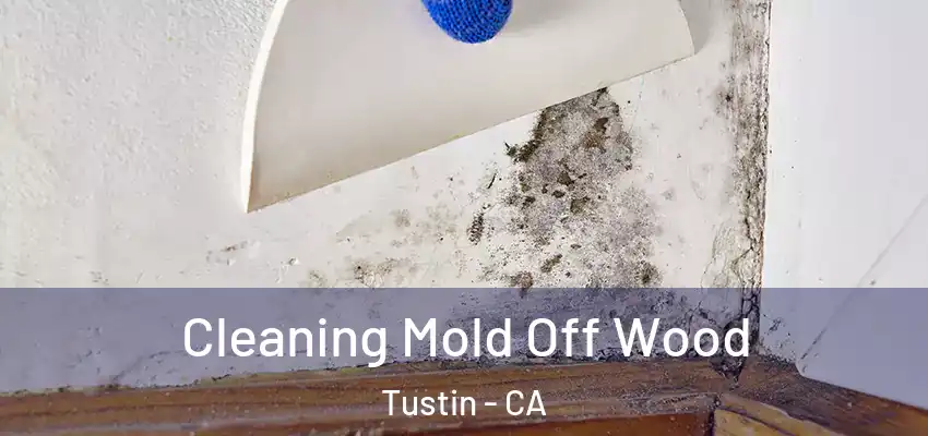  Cleaning Mold Off Wood Tustin - CA