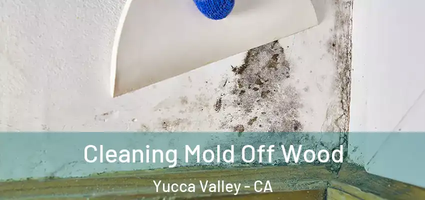  Cleaning Mold Off Wood Yucca Valley - CA