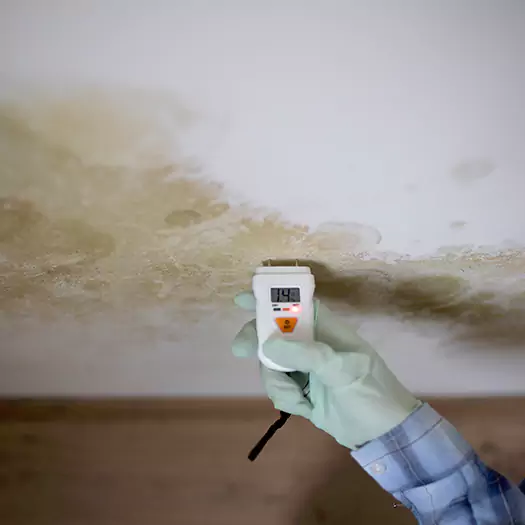 Reliable Mold Inspection Experts in San Bernardino, CA
