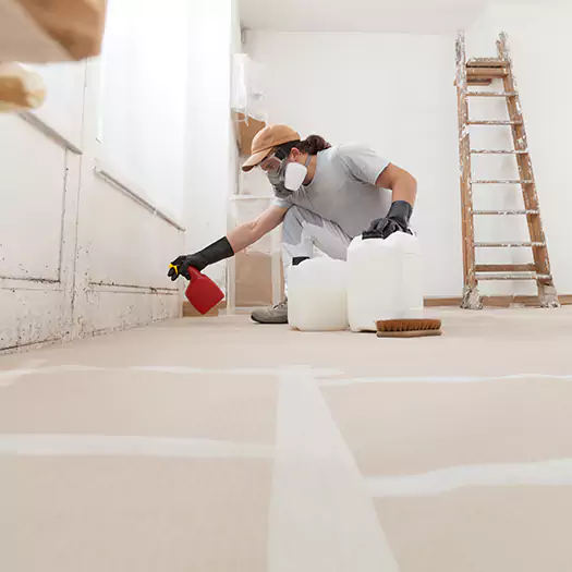 Reliable Mold Stain Remover Specialists in San Bernardino, CA