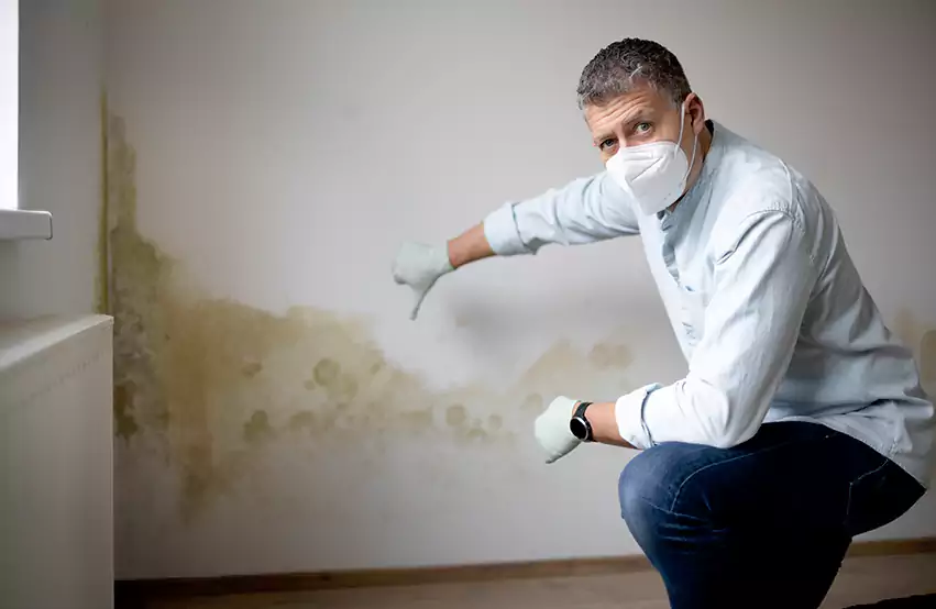 Mold Removal in San Bernardino, CA