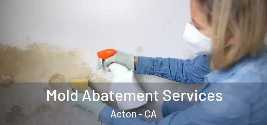 Mold Abatement Services Acton - CA