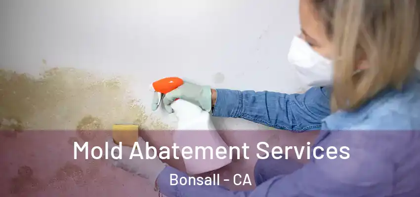  Mold Abatement Services Bonsall - CA