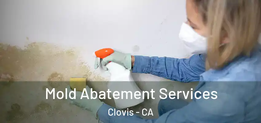  Mold Abatement Services Clovis - CA
