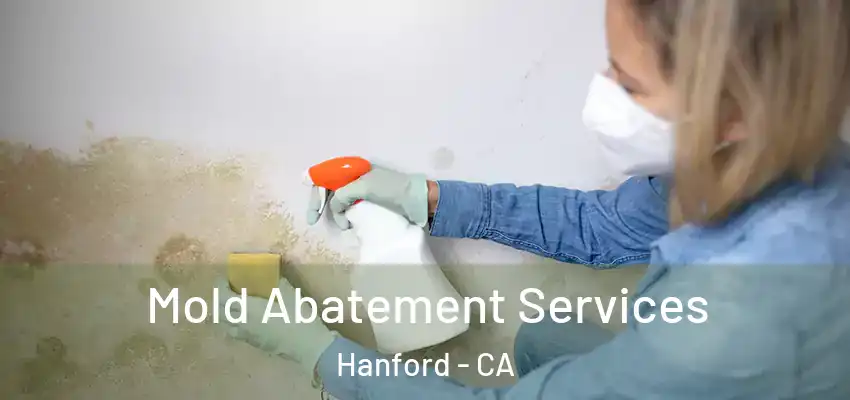  Mold Abatement Services Hanford - CA
