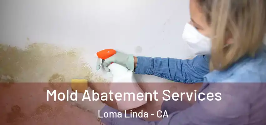  Mold Abatement Services Loma Linda - CA