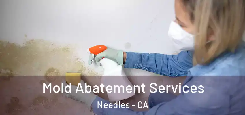  Mold Abatement Services Needles - CA