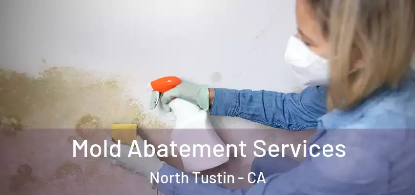  Mold Abatement Services North Tustin - CA