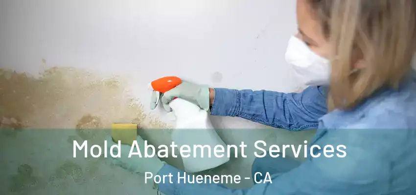 Mold Abatement Services Port Hueneme - CA