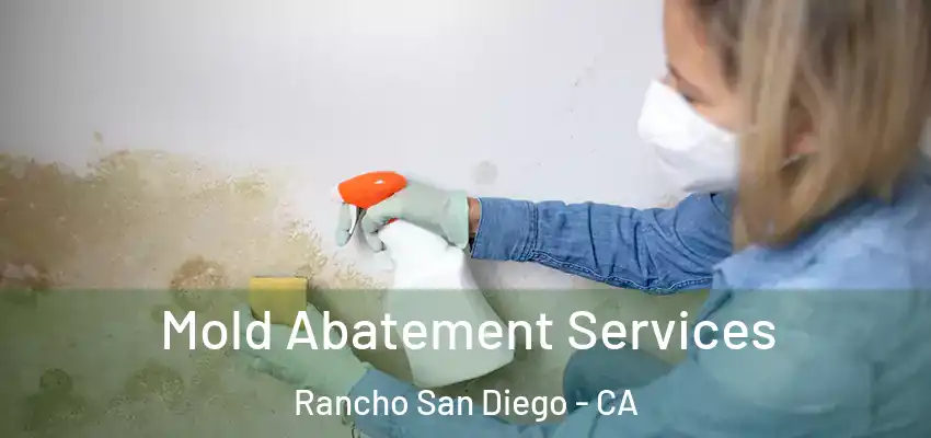 Mold Abatement Services Rancho San Diego - CA
