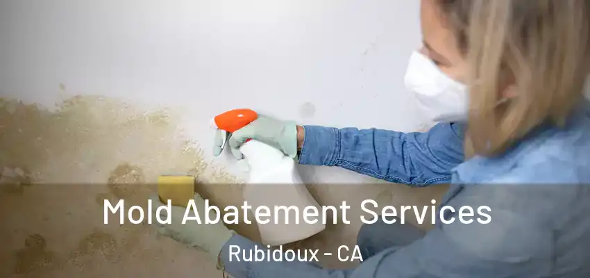 Mold Abatement Services Rubidoux - CA