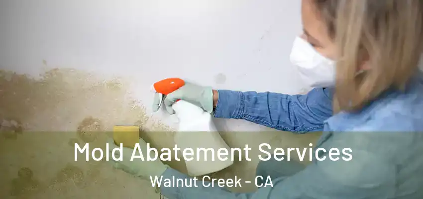  Mold Abatement Services Walnut Creek - CA