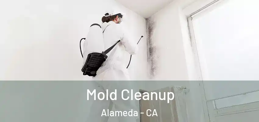 Mold Cleanup Alameda - CA