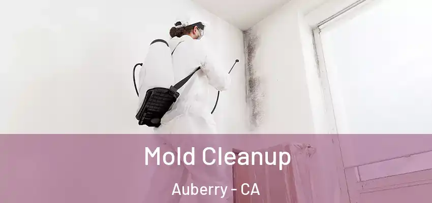  Mold Cleanup Auberry - CA