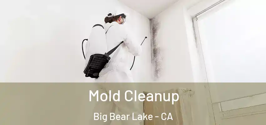  Mold Cleanup Big Bear Lake - CA
