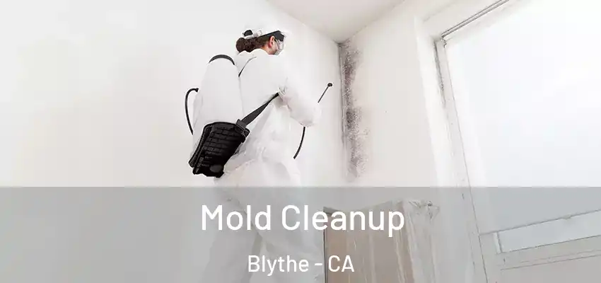 Mold Cleanup Blythe - CA
