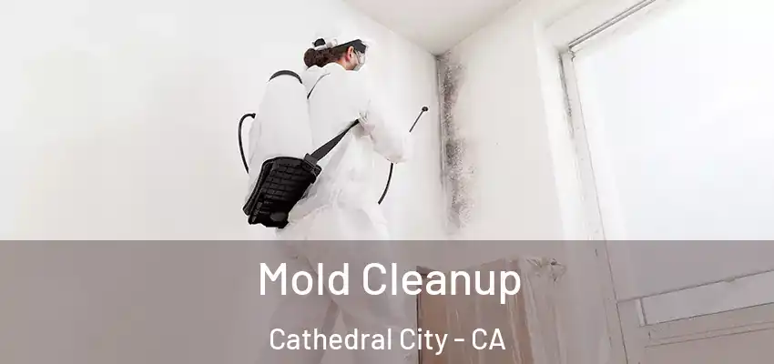  Mold Cleanup Cathedral City - CA