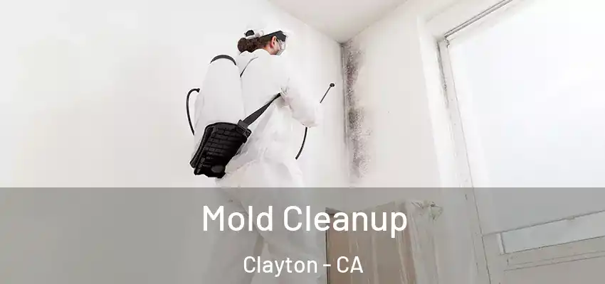  Mold Cleanup Clayton - CA