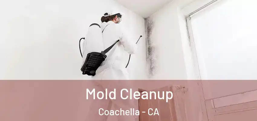 Mold Cleanup Coachella - CA