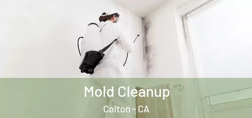 Mold Cleanup Colton - CA