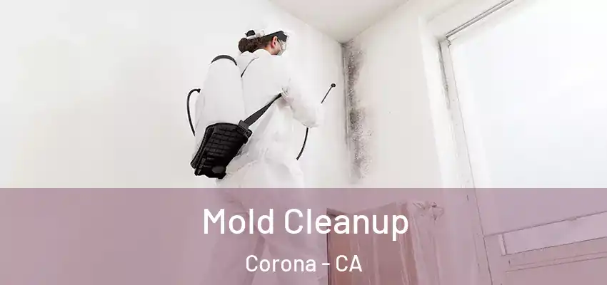 Mold Cleanup Corona - CA