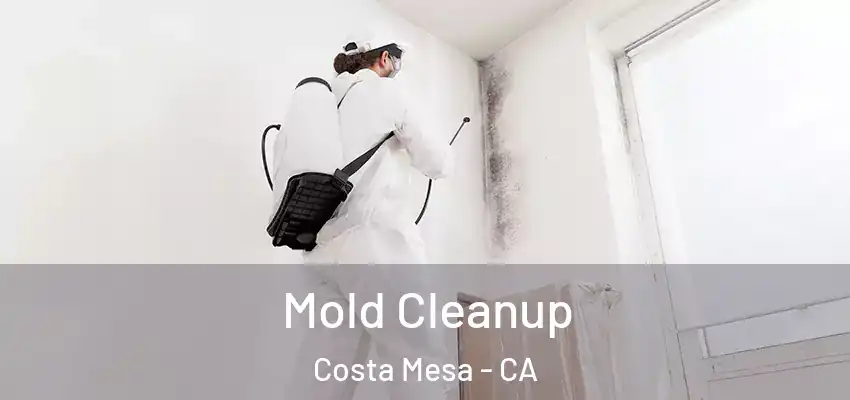  Mold Cleanup Costa Mesa - CA