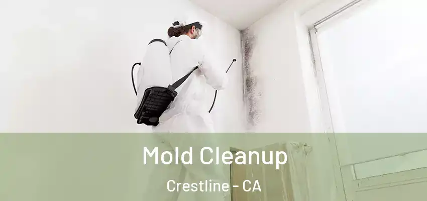  Mold Cleanup Crestline - CA