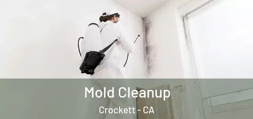  Mold Cleanup Crockett - CA