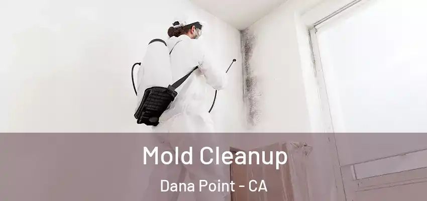  Mold Cleanup Dana Point - CA